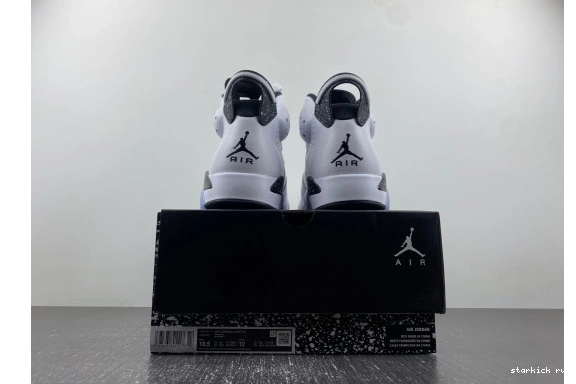 6 Reverse Jordan  CT8529-112 CT8529-112 Retro Oreo 0815
